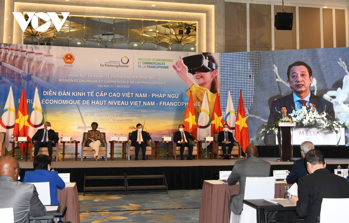 Vietnam supports stronger economic ties in Francophonie community