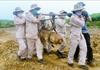 Japan Finances Mine Clearance in Vietnam's Central Province