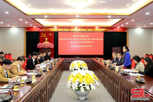 Triển khai có hiệu quả công tác đối ngoại nhân dân trong tình hình mới