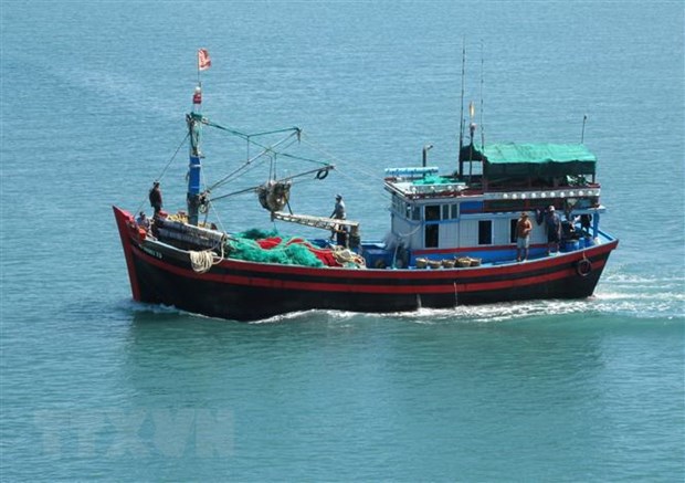 Quang Tri tightens fishing vessel monitoring to fight IUU fishing