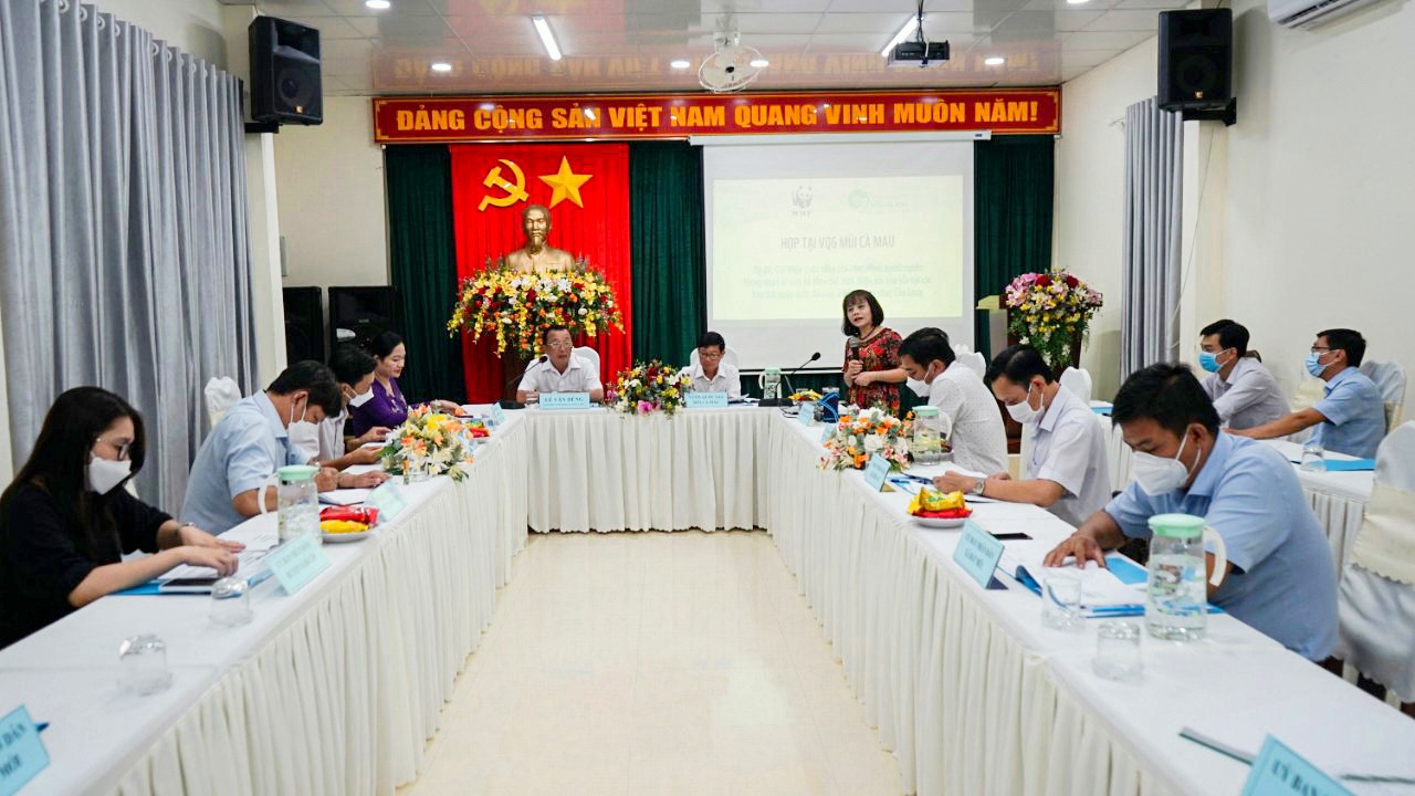 Tieu de