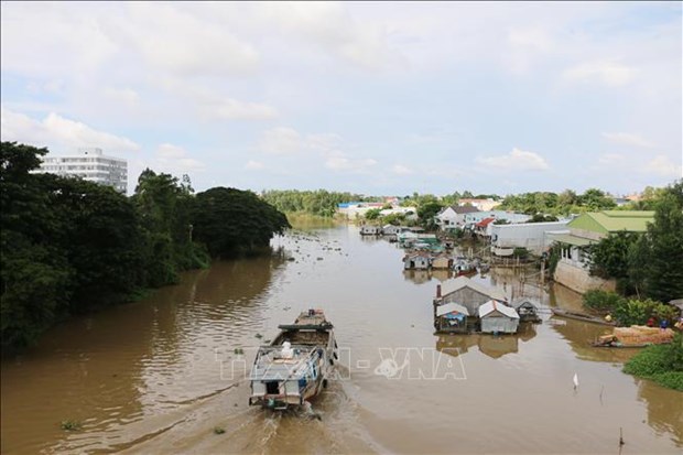 Tieu de