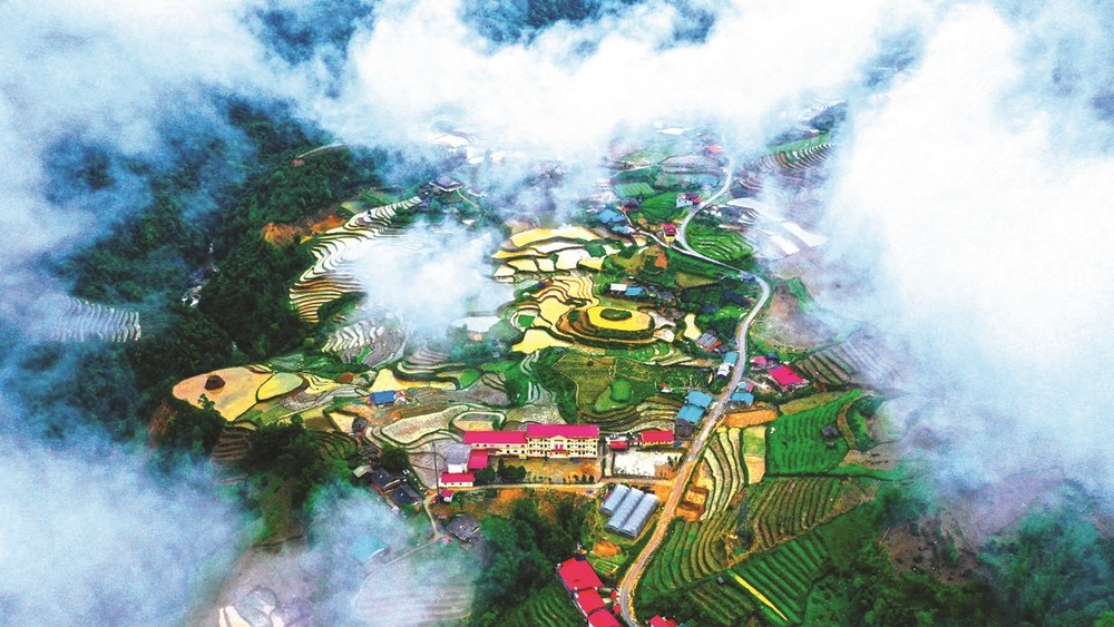 Tieu de