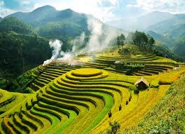 Tieu de