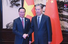 Tieu de