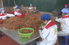 Tieu de