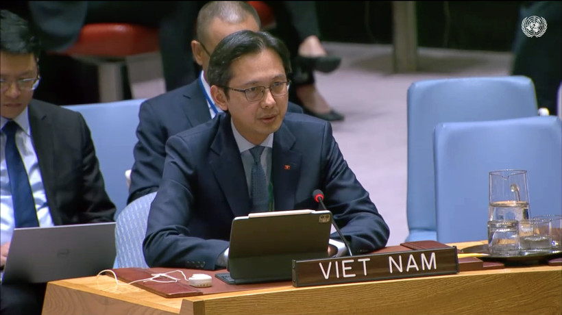 Viet Nam committed to future of UN peacekeeping operations: Ambassador
